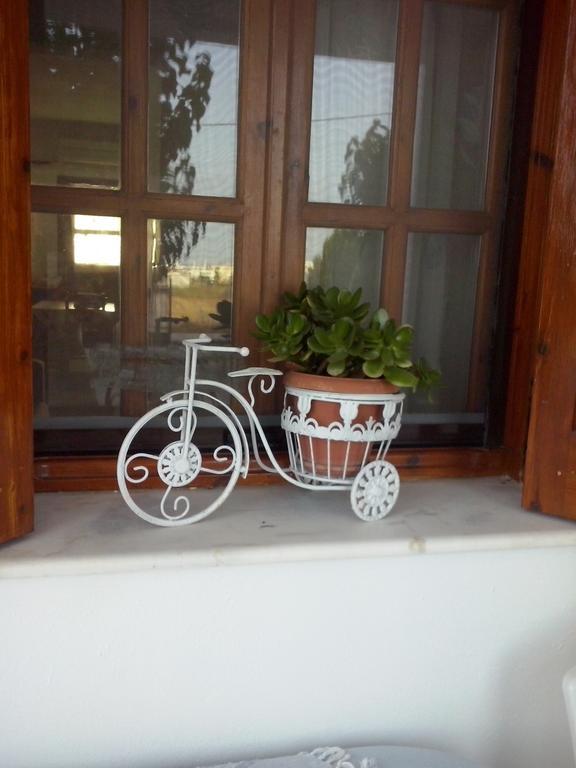 Athena'S Houses Skyros Bagian luar foto